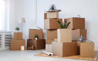 Moving? Starting a Business? You Can Do Both at the Same Time