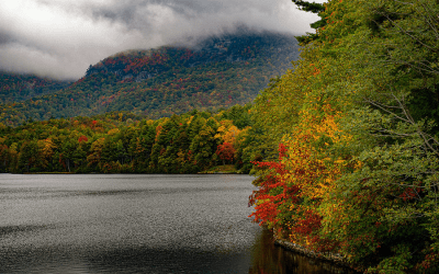 Lake Toxaway District