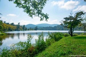 Asheville Attractions BeaverLakeBirdSanctuary WM 9