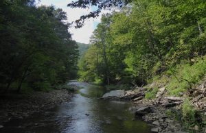Living in Hot Springs, North Carolina: A True Mountain Lifestyle 1 IMG 7060
