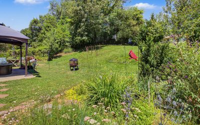 Communities 1 102 Wicklow Dr Asheville NC 28806 | Updated One-Level Home in Mount Carmel Acres